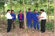 Chủ tịch CĐ Cao su VN thăm và làm việc với các CTCS ở Campuchia
